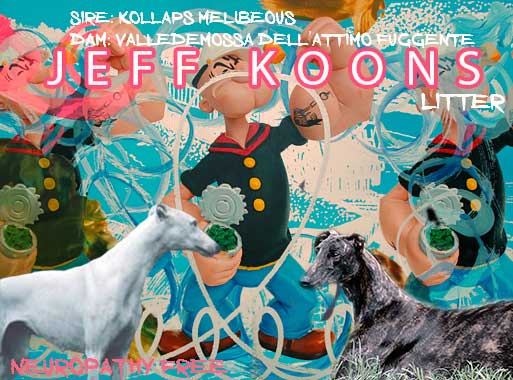 Cuccioli puppies greyhound kollaps