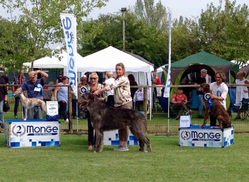 greyhound monza 2023