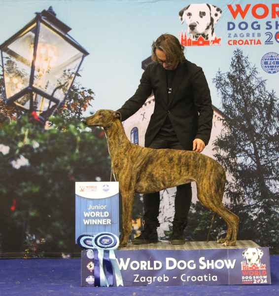 world dog show 24